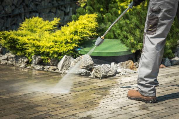 Best Rust Removal  in Montvale, NJ