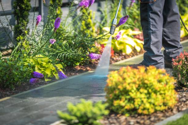 Best Spring Cleaning  in Montvale, NJ